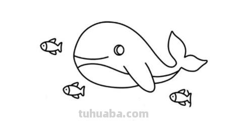 大海里有什么简笔画 海洋简笔画怎么画？