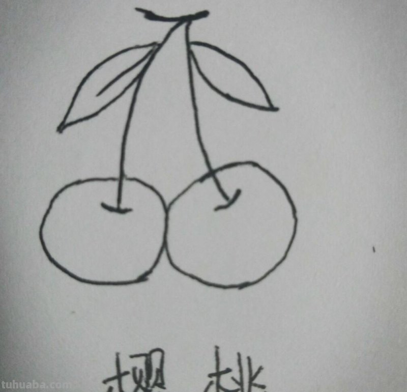 九种水果简笔画，非常简单，适合初学者，儿童