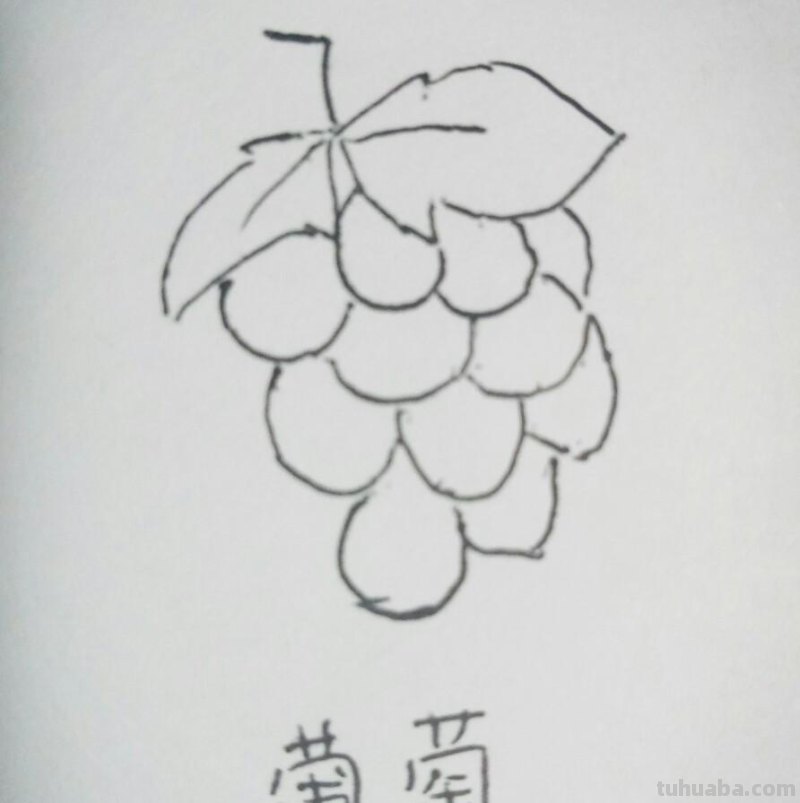 九种水果简笔画，非常简单，适合初学者，儿童