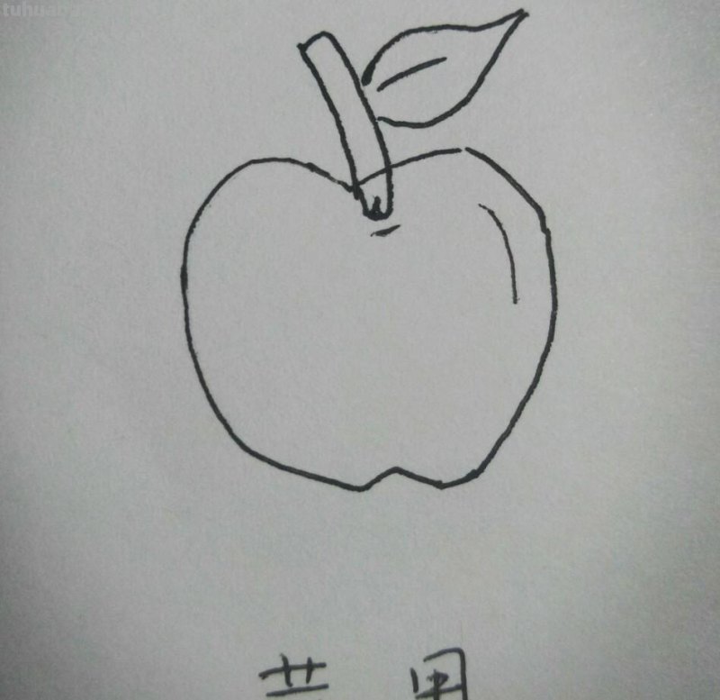 九种水果简笔画，非常简单，适合初学者，儿童