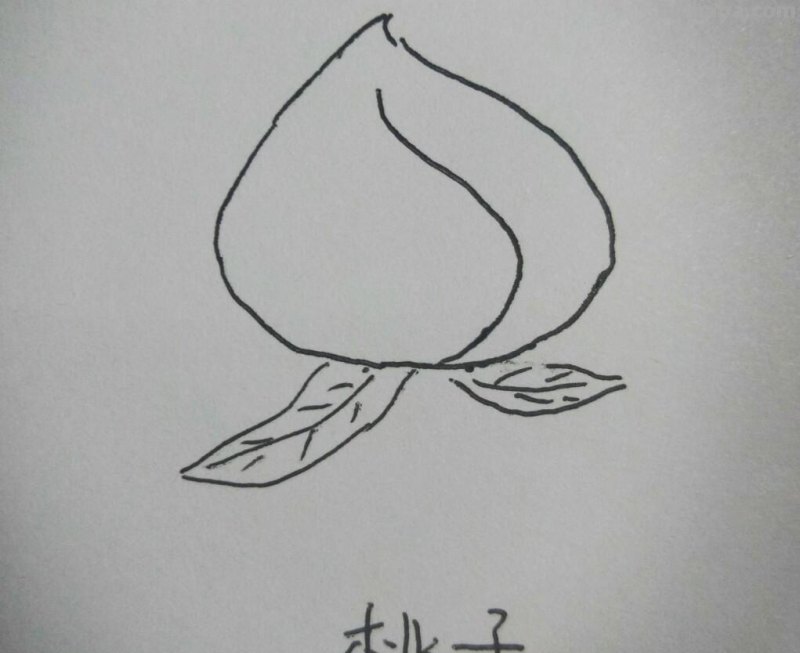 九种水果简笔画，非常简单，适合初学者，儿童
