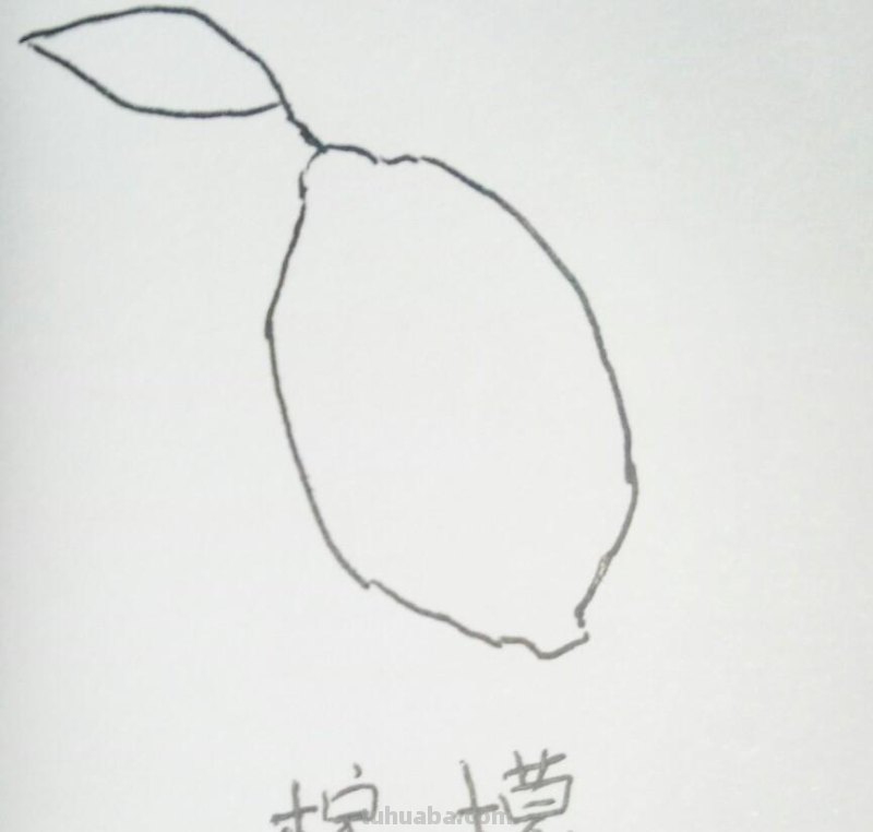 九种水果简笔画，非常简单，适合初学者，儿童