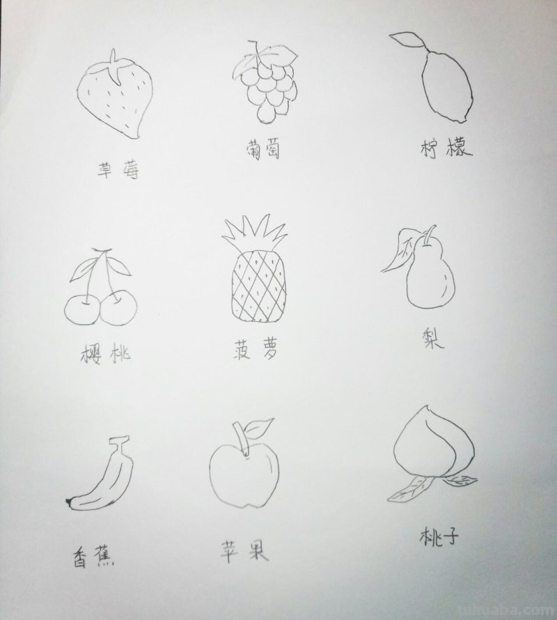 九种水果简笔画，非常简单，适合初学者，儿童