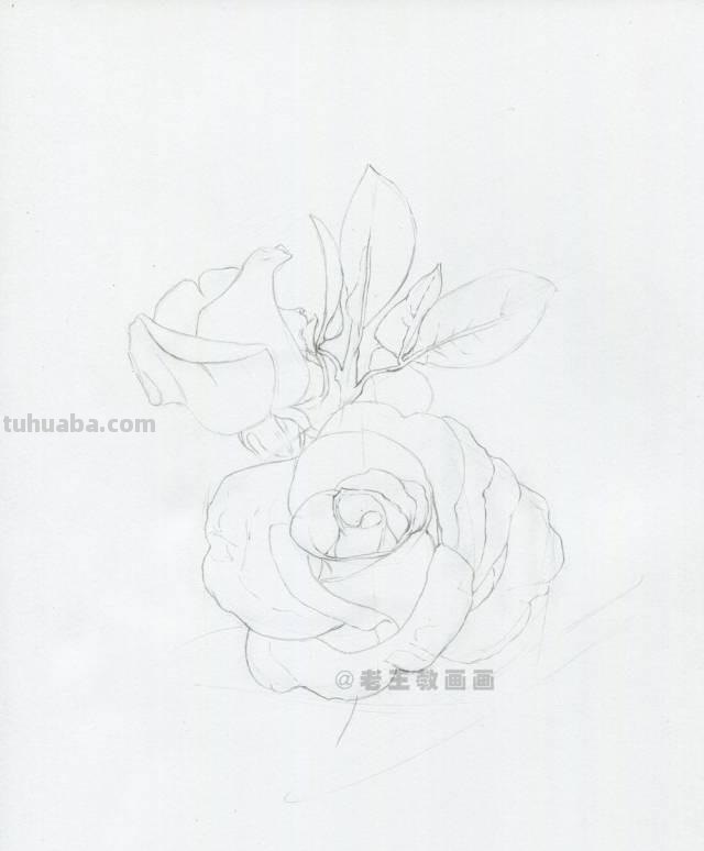 情人节要来了！如何才能画好一朵玫瑰花？（彩铅详细教程）