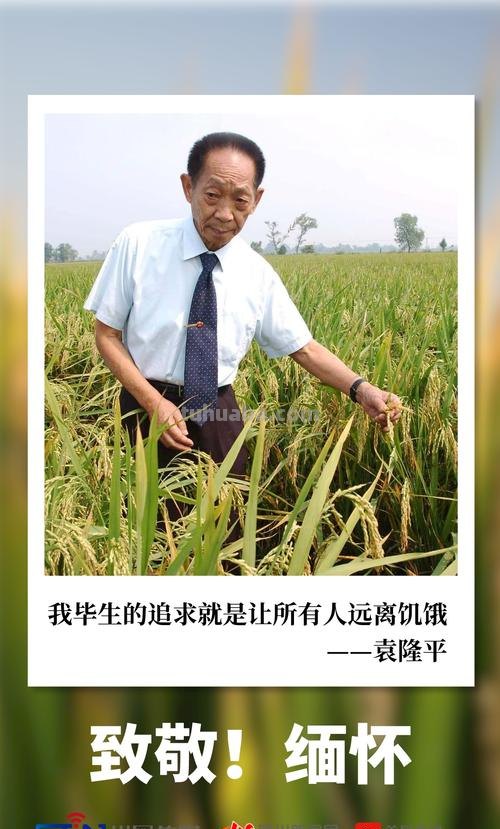 袁隆平思维导图怎么写 以你是我的英雄为题写一篇作文，关于袁老先生