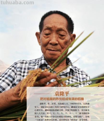 袁隆平思维导图怎么写 以你是我的英雄为题写一篇作文，关于袁老先生