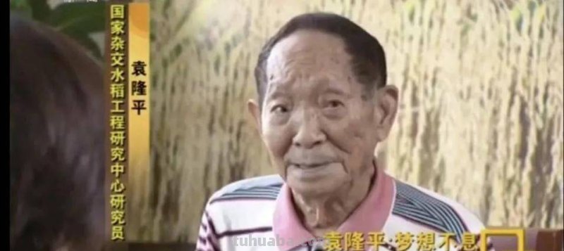 袁隆平思维导图怎么写 以你是我的英雄为题写一篇作文，关于袁老先生