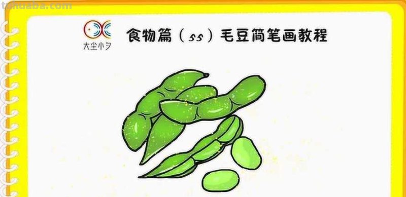 毛豆思维导图怎么画 如何画思维导图？