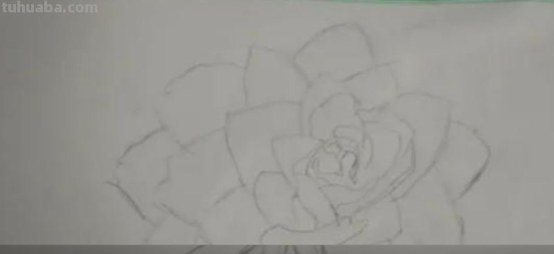 用彩铅怎么画花 荷花彩铅绘画步骤过程？