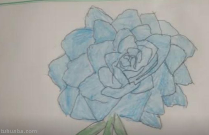 用彩铅怎么画花 荷花彩铅绘画步骤过程？