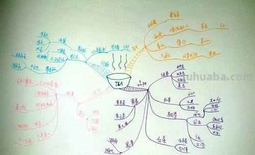 怎么画茶具思维导图 如何画思维导图？