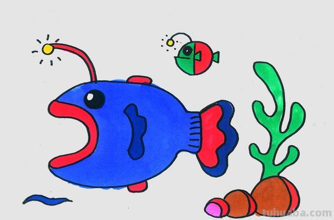 「转」幼儿学画画-各种海洋生物鱼类简笔画法