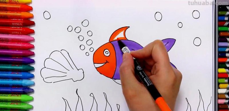 「转」幼儿学画画-各种海洋生物鱼类简笔画法