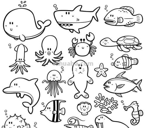 卡通简笔画：海洋动物