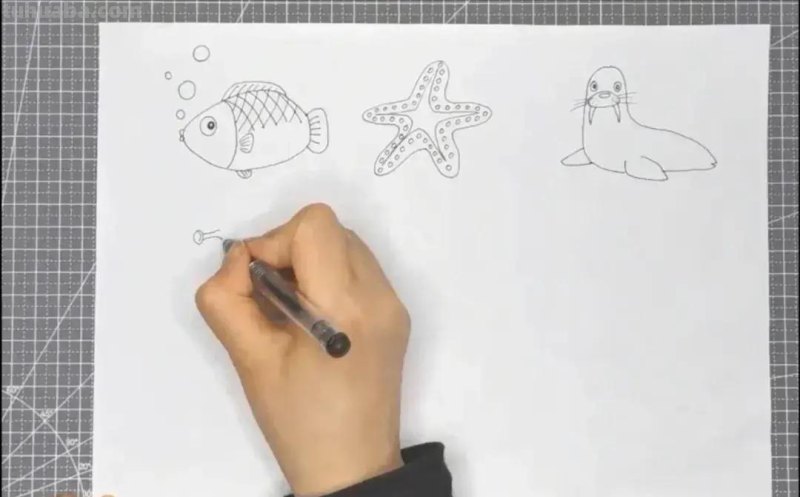 卡通简笔画：海洋动物
