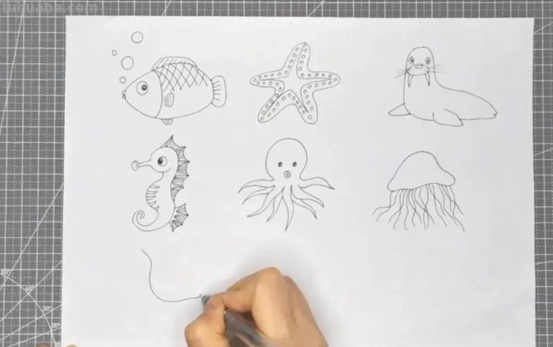 卡通简笔画：海洋动物
