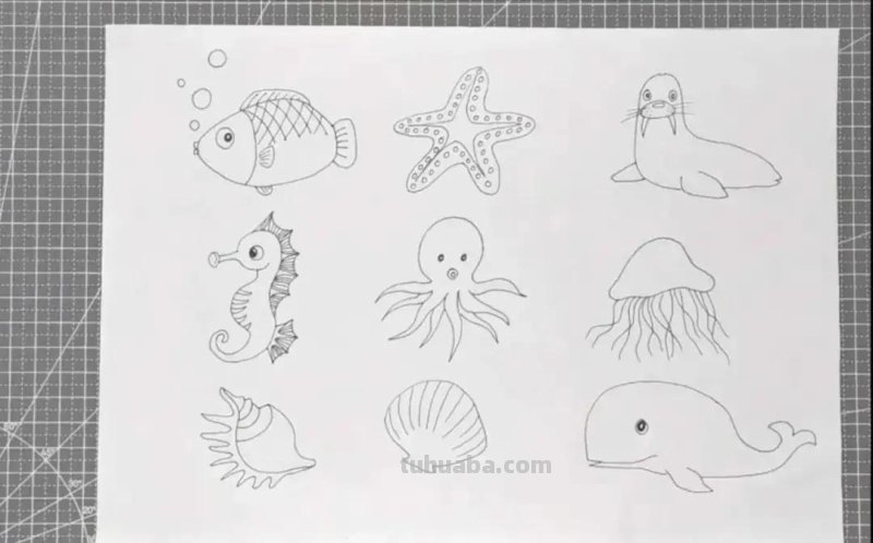 卡通简笔画：海洋动物