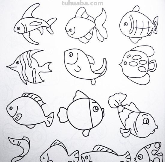 土豆姑娘的日记017-儿童简笔画之海底动物（含海龟珊瑚海马等）