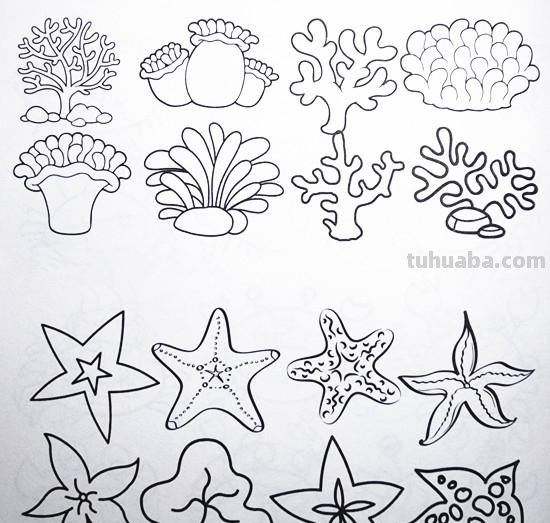 土豆姑娘的日记017-儿童简笔画之海底动物（含海龟珊瑚海马等）