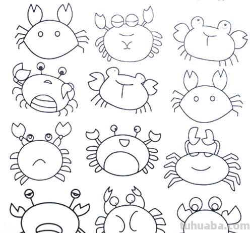 土豆姑娘的日记017-儿童简笔画之海底动物（含海龟珊瑚海马等）