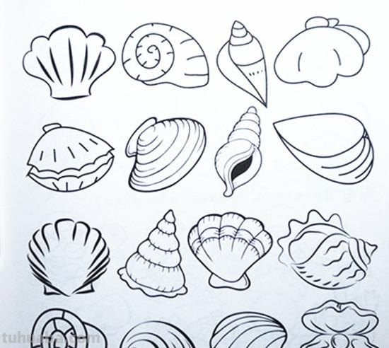土豆姑娘的日记017-儿童简笔画之海底动物（含海龟珊瑚海马等）