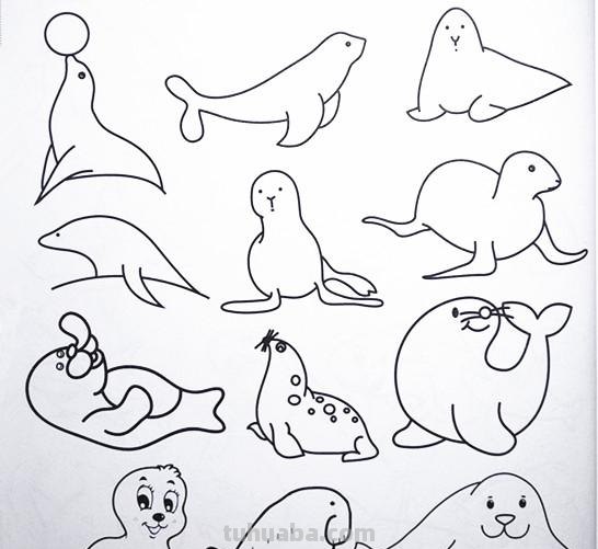 土豆姑娘的日记017-儿童简笔画之海底动物（含海龟珊瑚海马等）