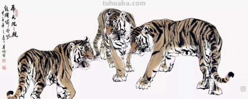 杨普义:虎的写意画技