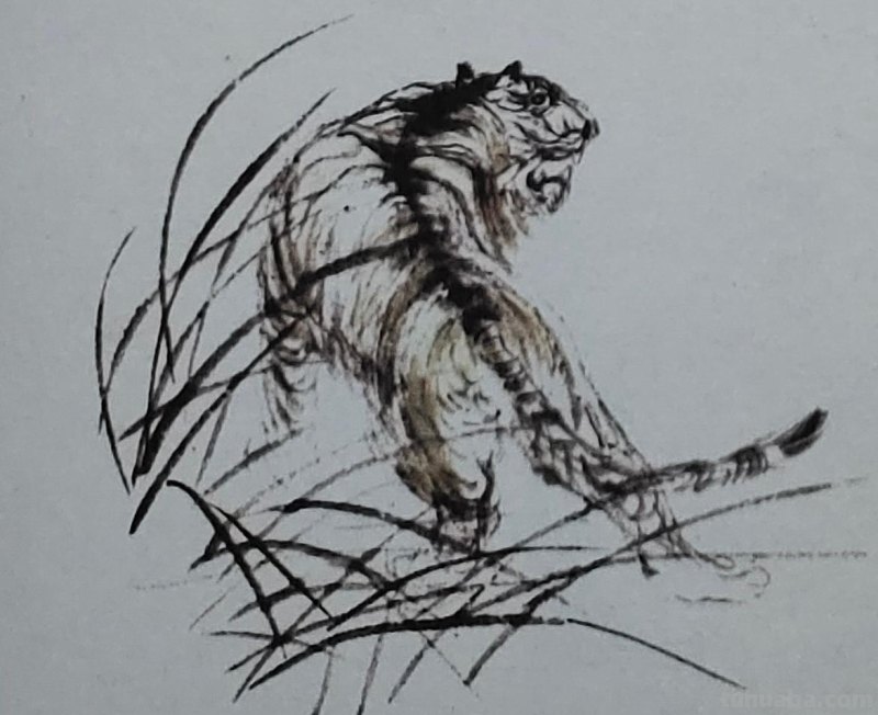 杨普义：虎的写意画技