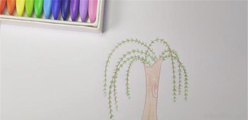 用彩铅怎么画柳树 【乐趣】柳树怎么画？