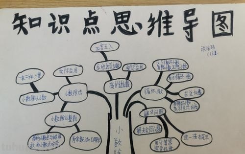 思维导图怎么使用创意 思维导图的类型和设计技巧有哪些？