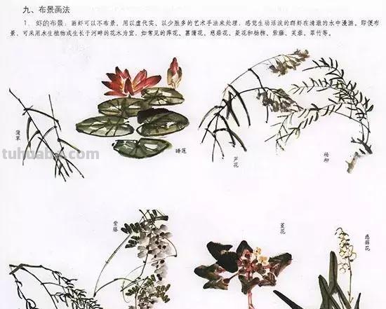 国画中最难表现的虫儿画法，这里都有了！