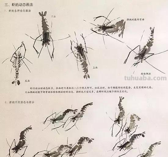 国画中最难表现的虫儿画法，这里都有了！