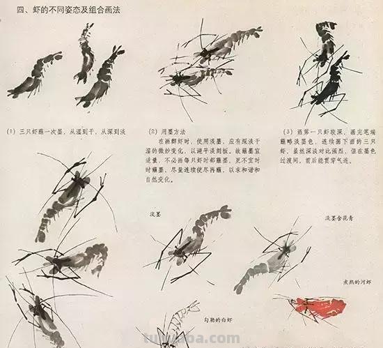 国画中最难表现的虫儿画法，这里都有了！