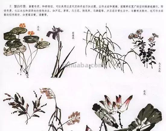 国画中最难表现的虫儿画法，这里都有了！