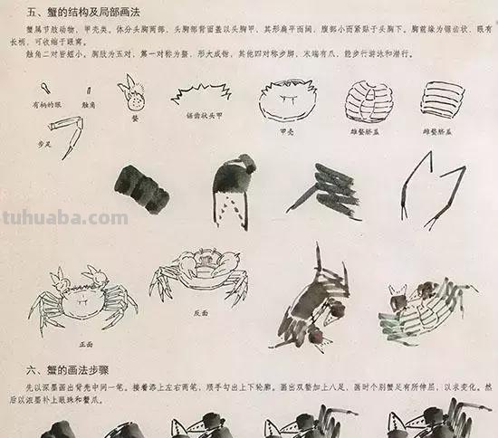 国画中最难表现的虫儿画法，这里都有了！