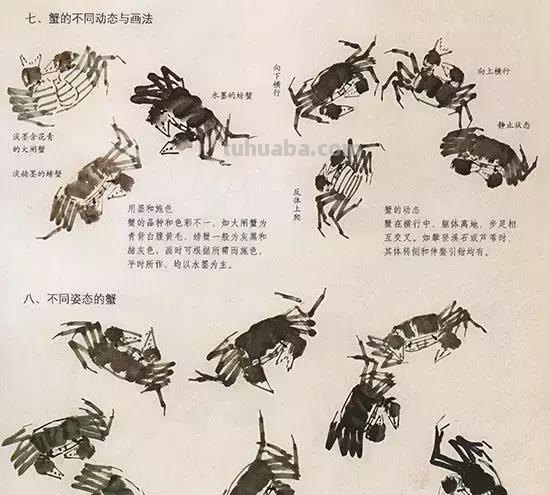 国画中最难表现的虫儿画法，这里都有了！