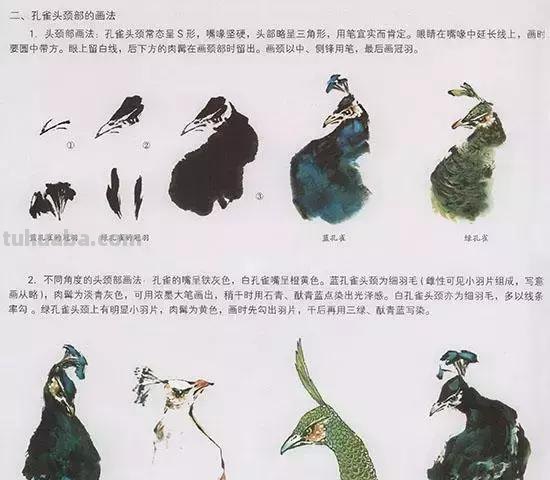 国画中最难表现的虫儿画法，这里都有了！