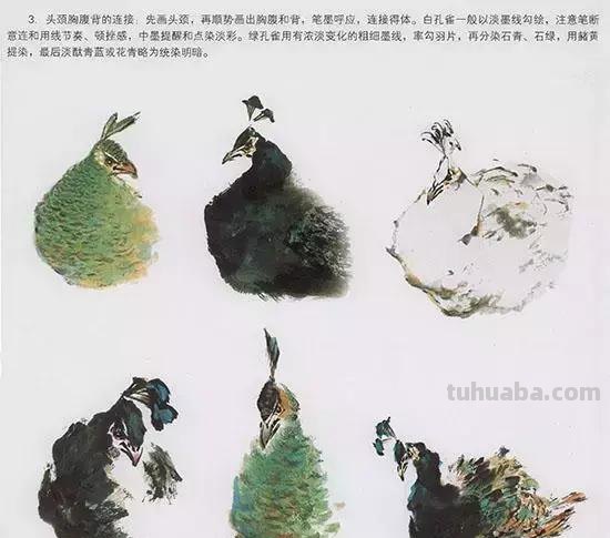国画中最难表现的虫儿画法，这里都有了！