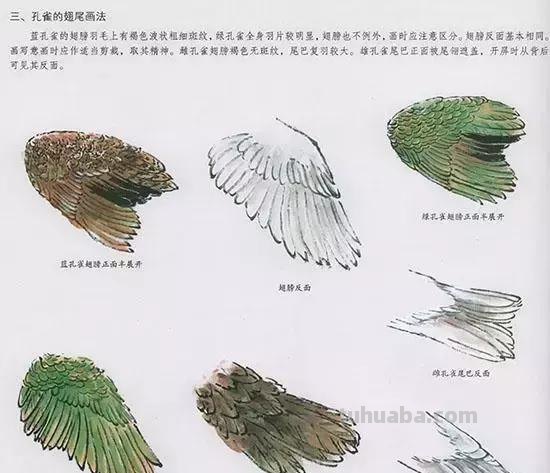 国画中最难表现的虫儿画法，这里都有了！