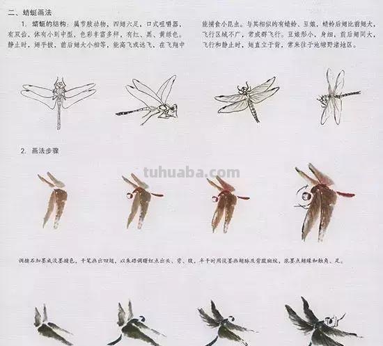 国画中最难表现的虫儿画法，这里都有了！