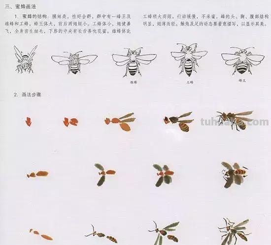 国画中最难表现的虫儿画法，这里都有了！