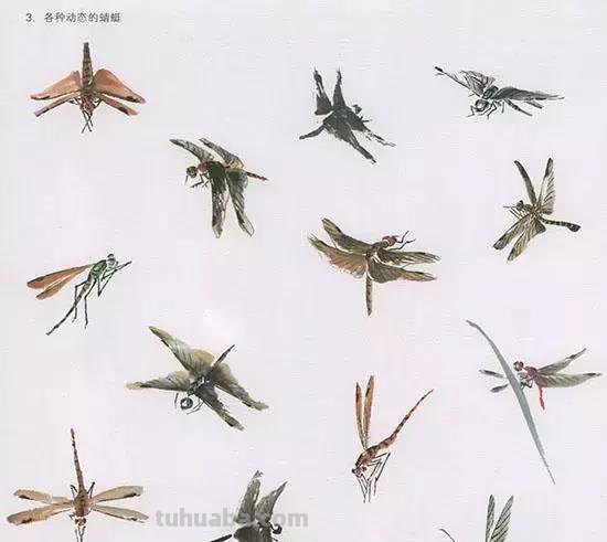 国画中最难表现的虫儿画法，这里都有了！