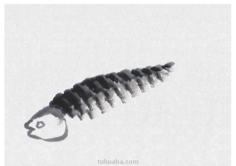 教你画草鱼：用浓墨以中锋为主画出鱼尾，以侧锋画出背鳍，快学习
