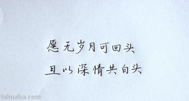 且以深情共白头前一句 且以深情共白头前一句是什么