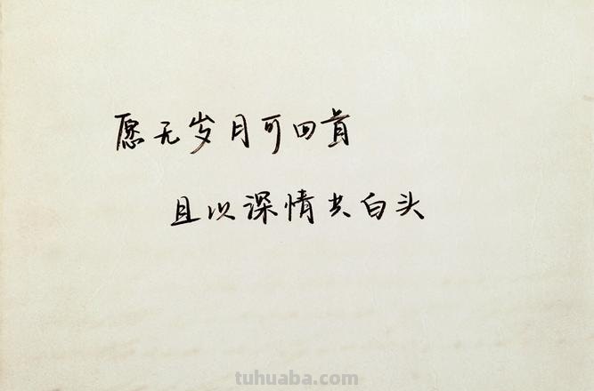 且以深情共白头前一句 且以深情共白头前一句是什么