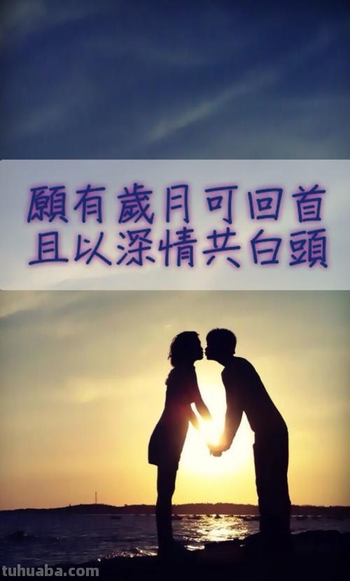 且以深情共白头前一句 且以深情共白头前一句是什么