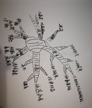 蒜头思维导图怎么画 如何画思维导图？