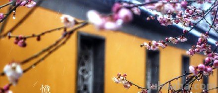 不降其志,不辱其身的出处 不降其志,不辱其身的出处