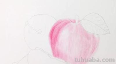 怎么用彩铅画苹果 彩铅手绘入门自学？