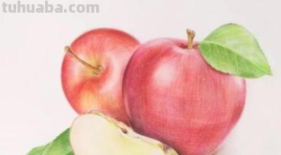 怎么用彩铅画苹果 彩铅手绘入门自学？